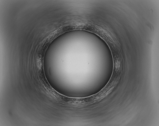 X0000111001204200906191543