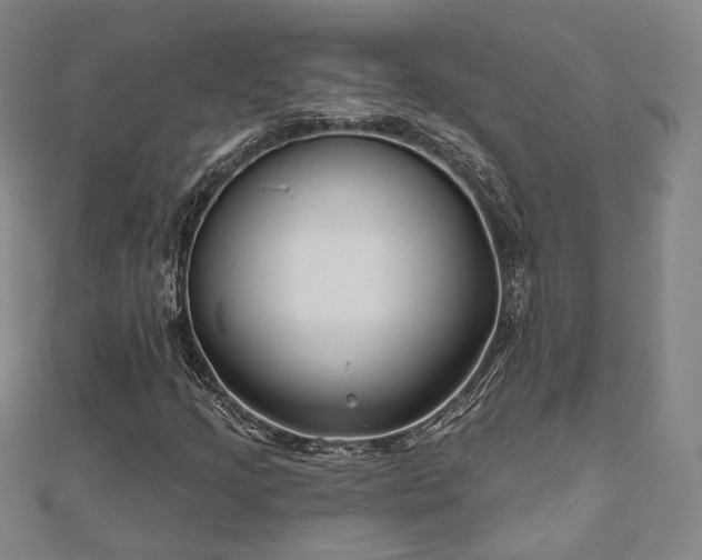 X0000111001205200906191543