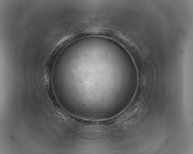 X0000111001206200906191543
