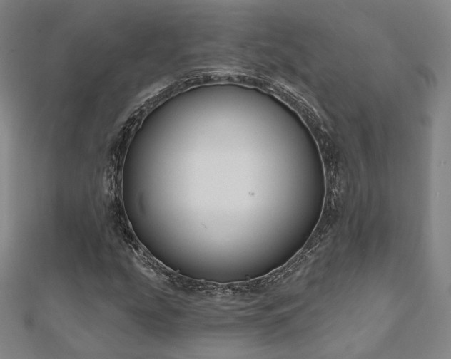 X0000111001207200906191544
