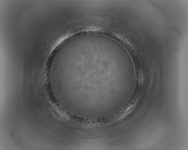 X0000111001208200906191544