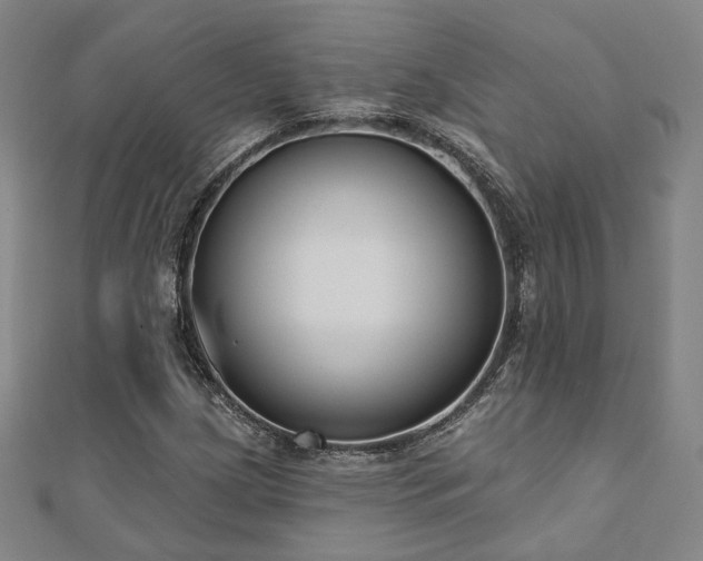 X0000111001209200906191544