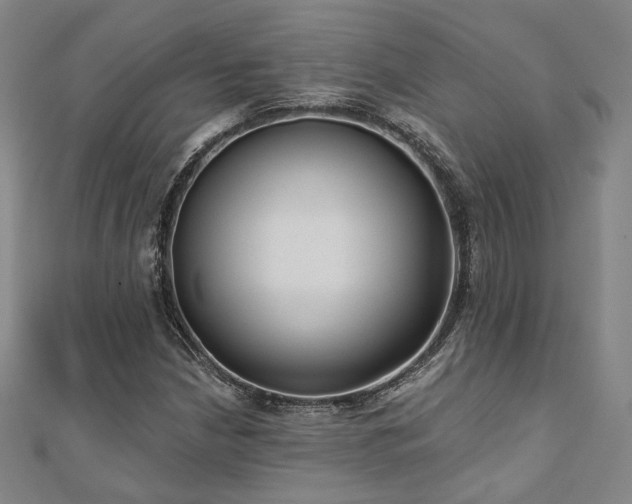 X0000111001210200906191544