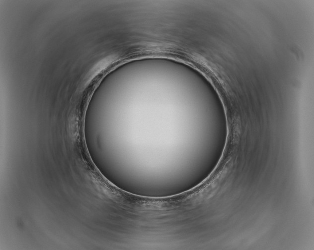 X0000111001211200906191544