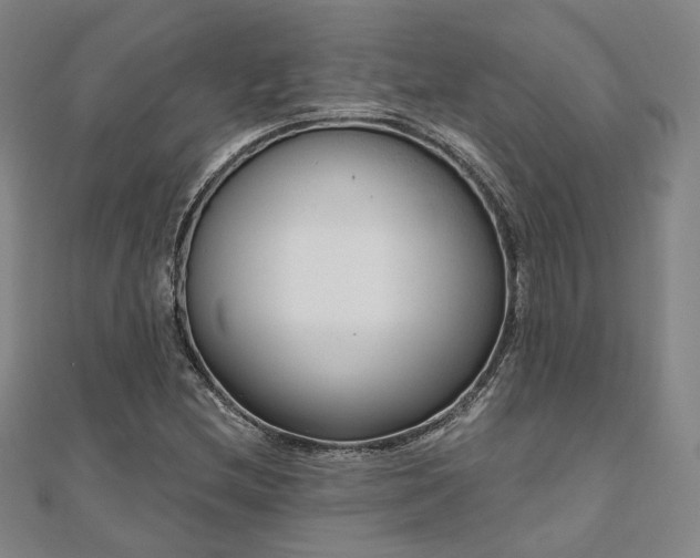 X0000111001212200906191544