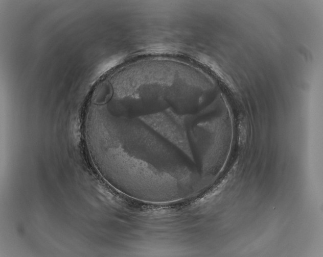 X0000111001213200906191544