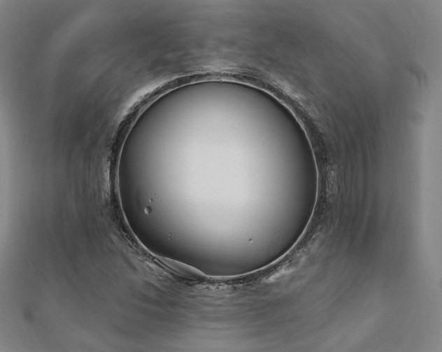 X0000111001214200906191544