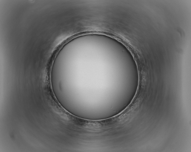 X0000111001215200906191544