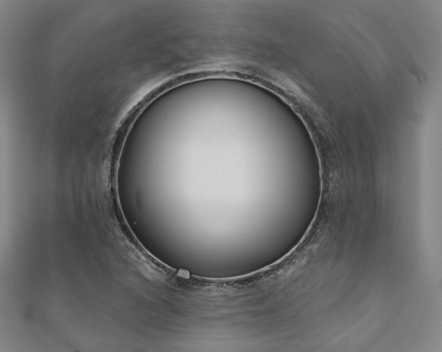 X0000111001216200906191544