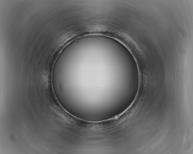 X0000111001217200906191544