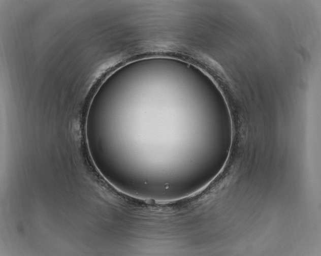 X0000111001218200906191544