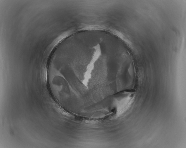 X0000111001221200906191544
