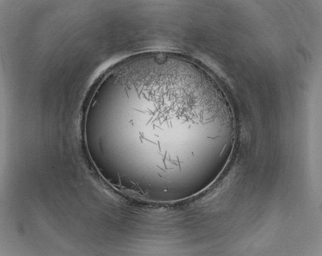 X0000111001222200906191544