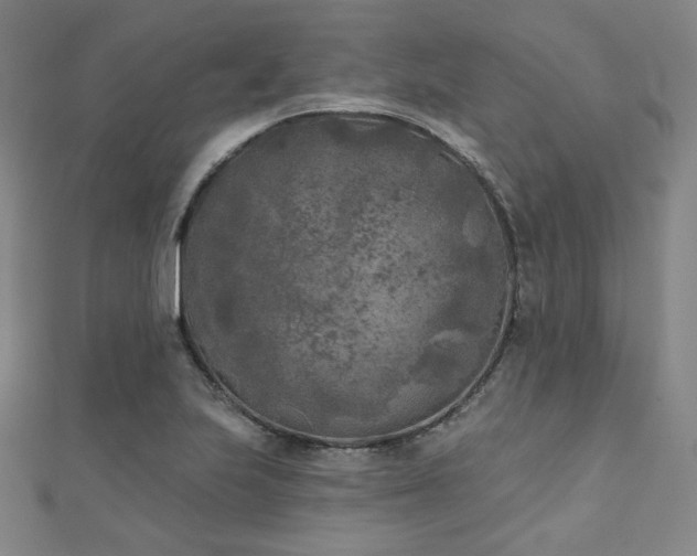 X0000111001223200906191544