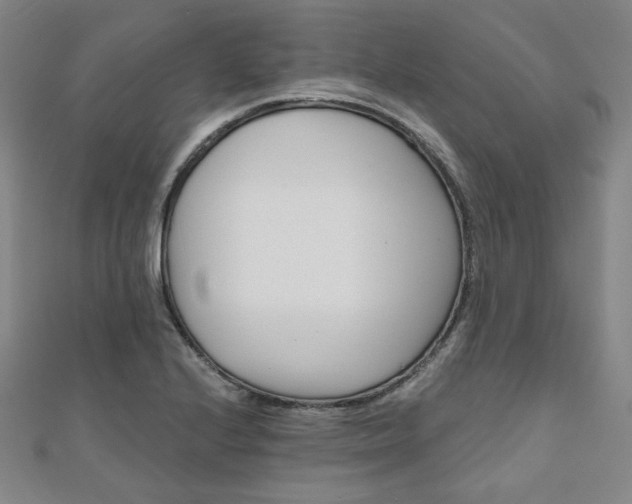 X0000111001224200906191544