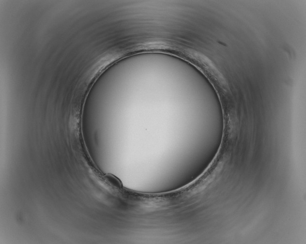 X0000111001225200906191544