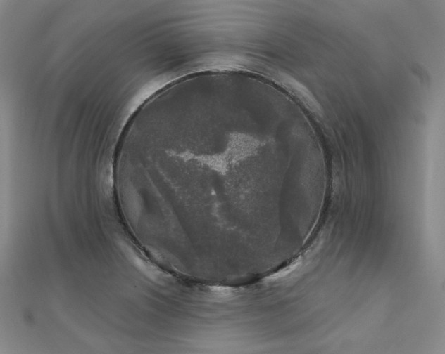 X0000111001226200906191544