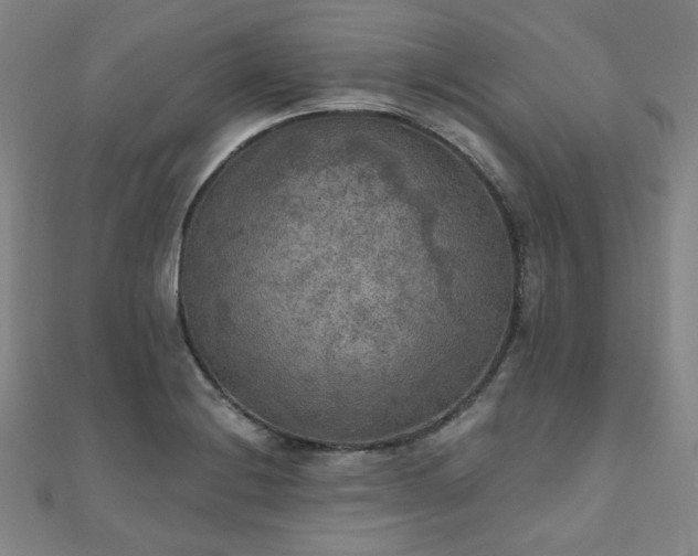X0000111001228200906191544