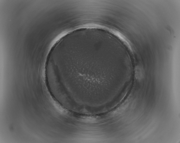 X0000111001229200906191544