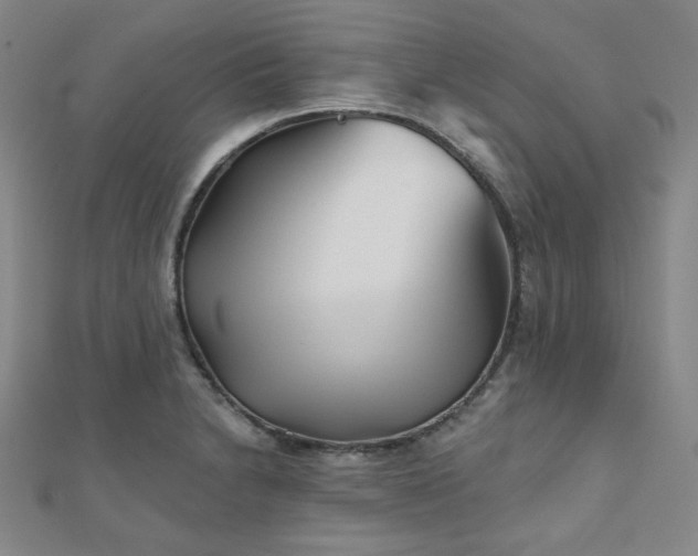X0000111001230200906191544