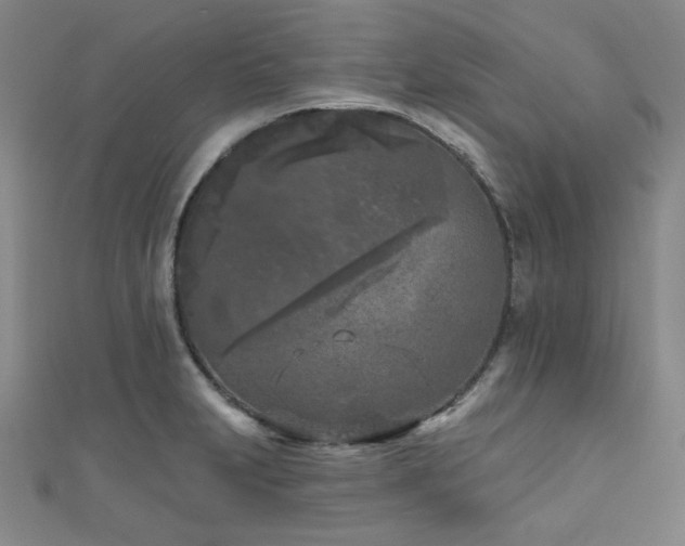 X0000111001231200906191544