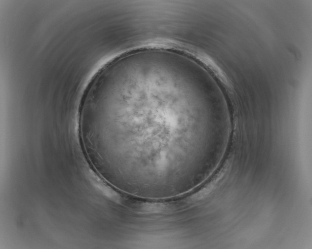 X0000111001232200906191544