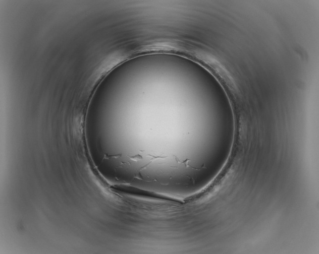 X0000111001233200906191544