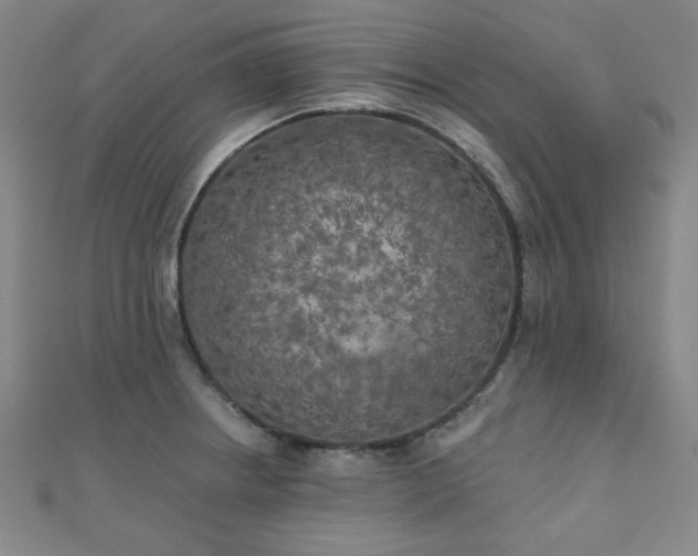 X0000111001234200906191544