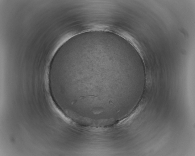 X0000111001235200906191544
