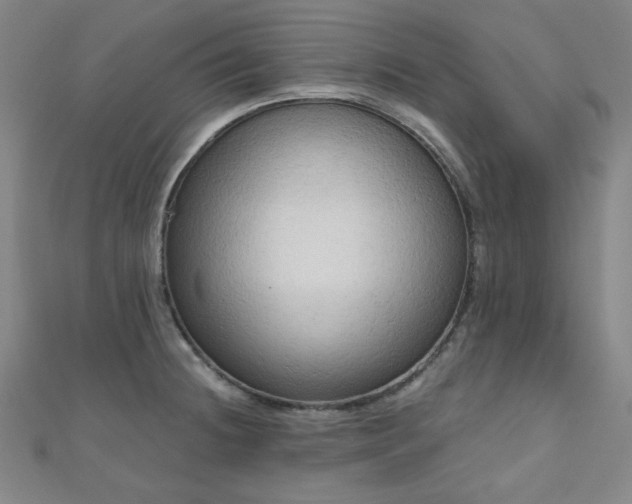 X0000111001236200906191544