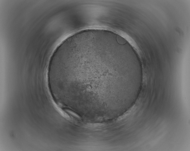 X0000111001237200906191544