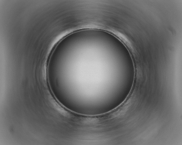 X0000111001238200906191544