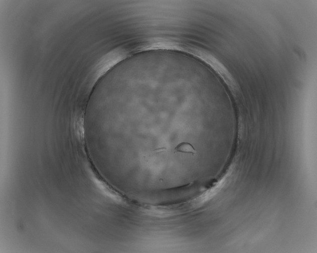 X0000111001241200906191544