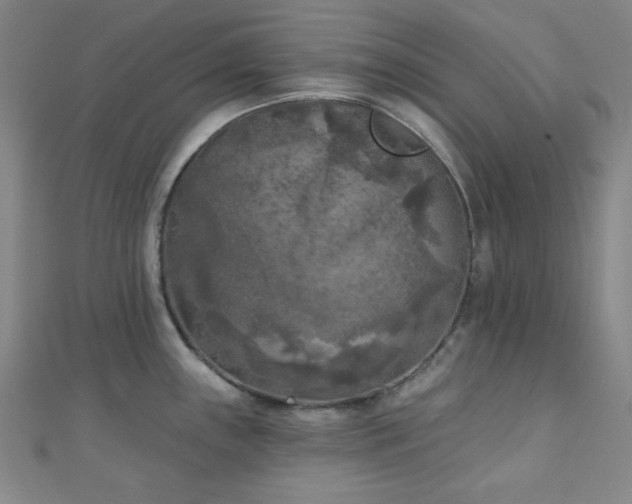 X0000111001243200906191544