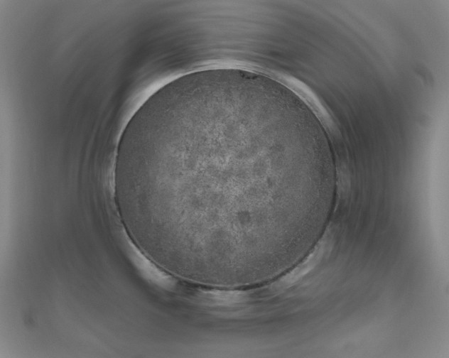 X0000111001244200906191544