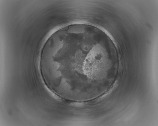 X0000111001245200906191544