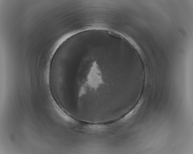 X0000111001246200906191544