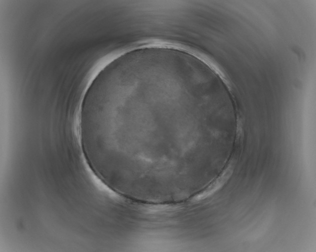 X0000111001247200906191544