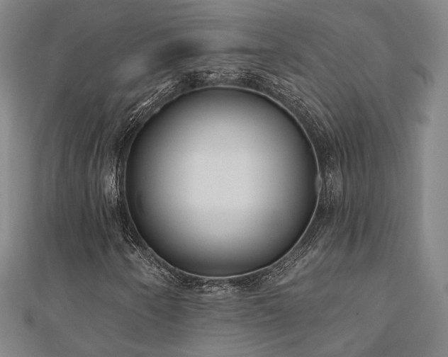 X0000111001250200906191543