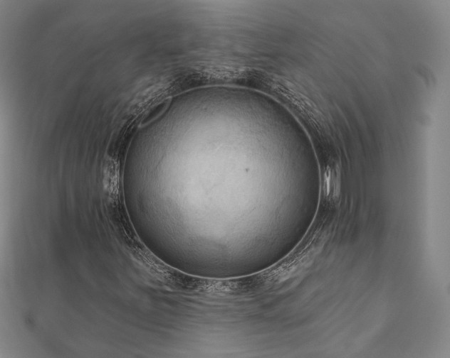 X0000111001251200906191543