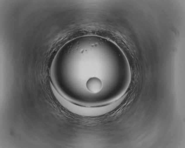 X0000111001253200906191543