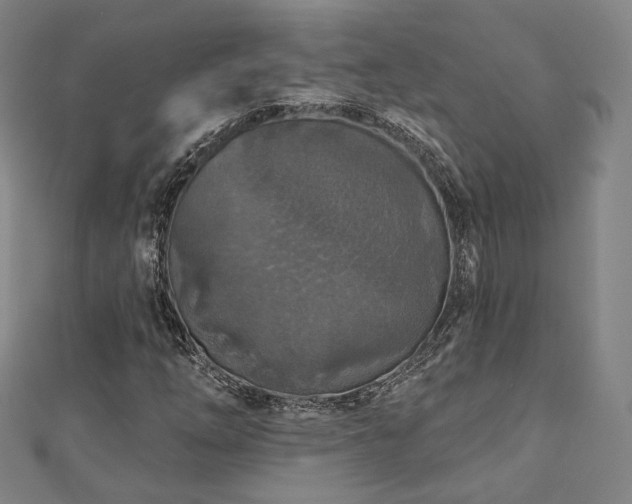 X0000111001254200906191543