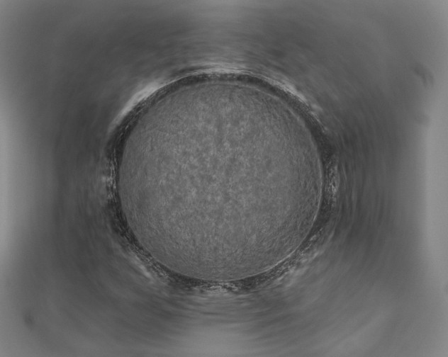 X0000111001255200906191543