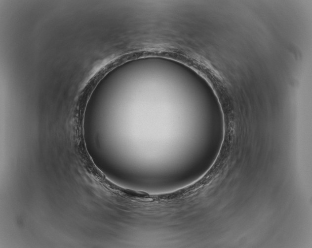 X0000111001256200906191543