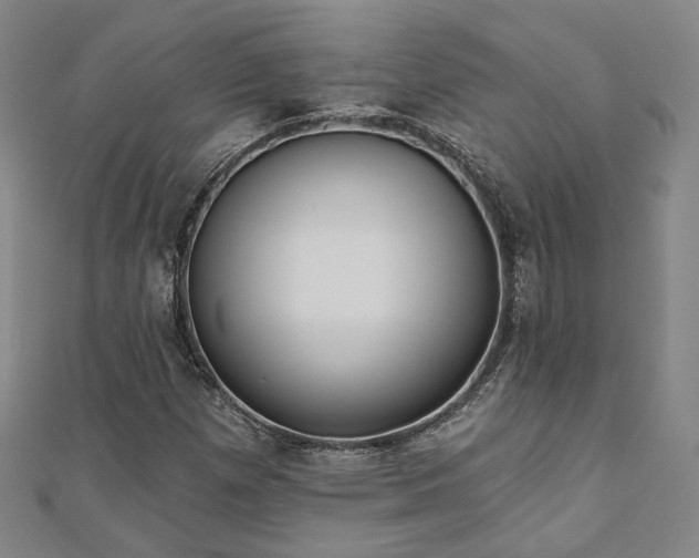 X0000111001257200906191543