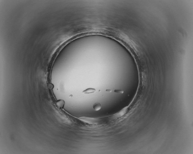 X0000111001260200906191543