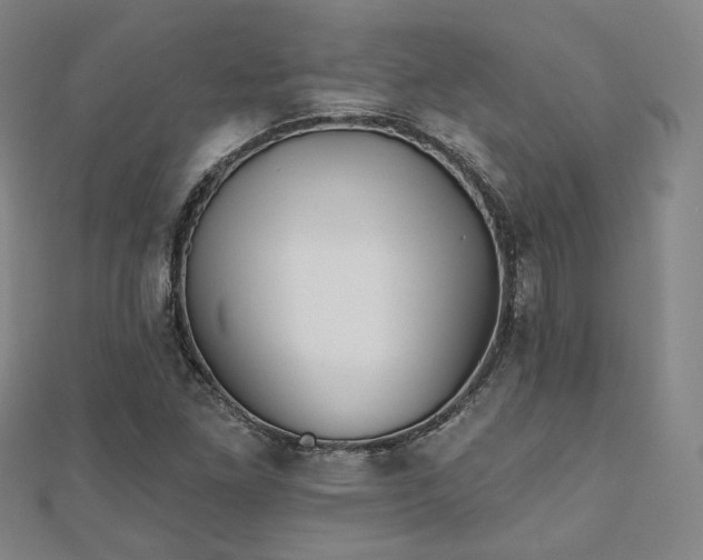 X0000111001261200906191543
