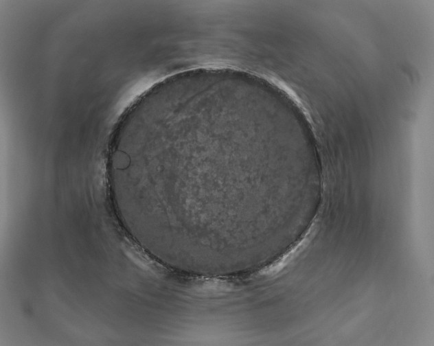 X0000111001263200906191543