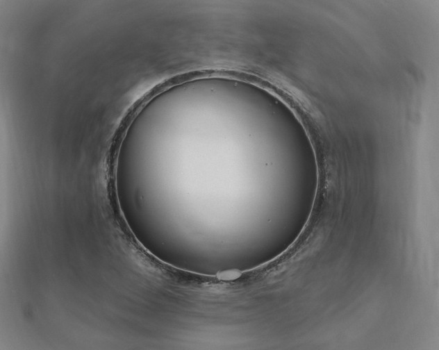 X0000111001264200906191543
