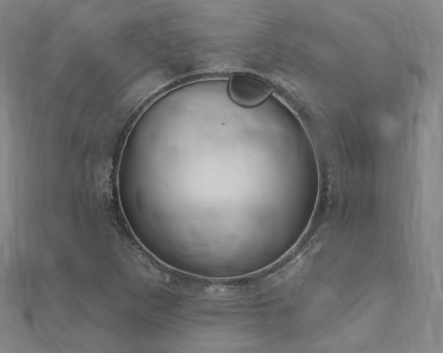 X0000111001265200906191543